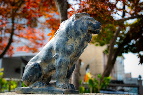 Sleepy Hollow, NY - Oct 2025